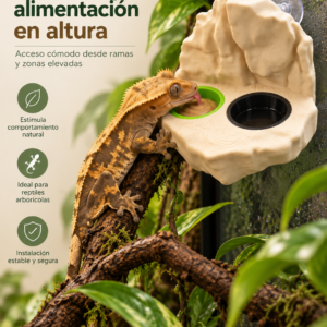 Comedero Elevado para Gecko Crestado | Soporte con Cuencos Intercambiables | Doble o Triple | Papilla, Agua, Calcio e Insectos
