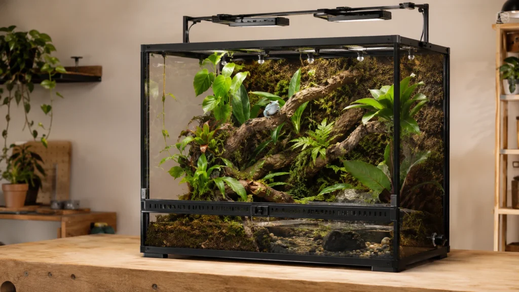 Terrario para Ranas